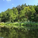 Biala's - Z Sauna I Jacuzzi W Puszczy Noteckiej - Tylko Dla Doroslych Nyaraló