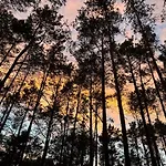 Nyaraló Biala's - Z Sauna I Jacuzzi W Puszczy Noteckiej - Tylko Dla Doroslych *