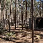 Biala's - Z Sauna I Jacuzzi W Puszczy Noteckiej - Tylko Dla Doroslych * Biala (Wielen, Czarnkow-Trzcianka)