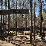 Biala's - Z Sauna I Jacuzzi W Puszczy Noteckiej - Tylko Dla Doroslych Holiday home *