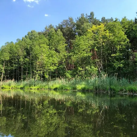 Biala's - Z Sauna I Jacuzzi W Puszczy Noteckiej - Tylko Dla Doroslych Feriehus