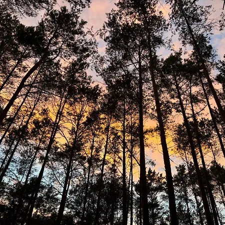 Feriehus Biala's - Z Sauna I Jacuzzi W Puszczy Noteckiej - Tylko Dla Doroslych *