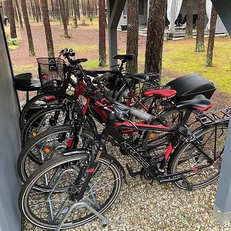 Biala's - Z Sauna I Jacuzzi W Puszczy Noteckiej - Tylko Dla Doroslych Feriehus *