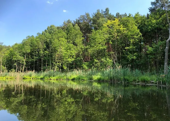 Biala's - Z Sauna I Jacuzzi W Puszczy Noteckiej - Tylko Dla Doroslych Holiday home