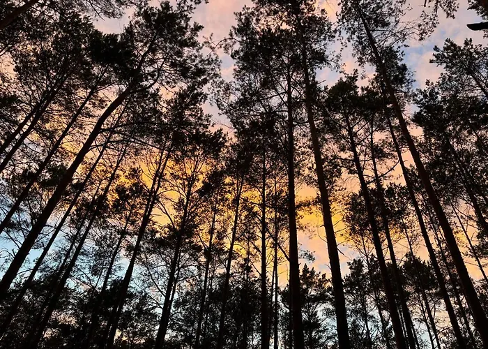 Ferienhaus Biala's - Z Sauna I Jacuzzi W Puszczy Noteckiej - Tylko Dla Doroslych *