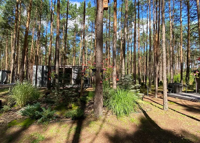 Biala's - Z Sauna I Jacuzzi W Puszczy Noteckiej - Tylko Dla Doroslych Biala (Wielen, Czarnkow-Trzcianka)